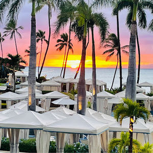 Meet your Posher, Gelah